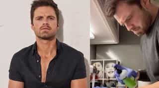 Sebastian Stan perfectly encapsulates the essence of 2020 in a hilarious video 