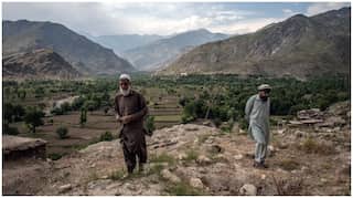 Afghanistan: Five polio workers shot dead in 'coordinated attacks'