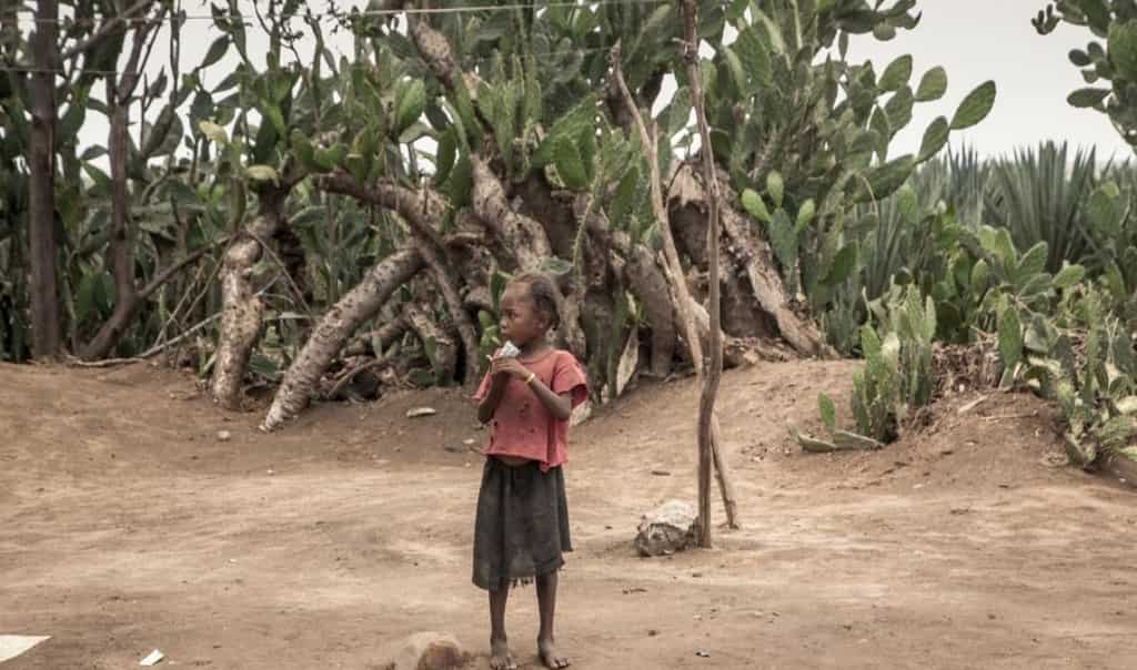 Humanitarian disaster: Clay quelling hunger in famine-hit Madagascar