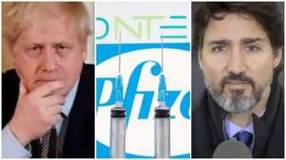 Morning news brief: USFDA advisors okay COVID vaccine, Johnson mulls no-deal Brexit, more