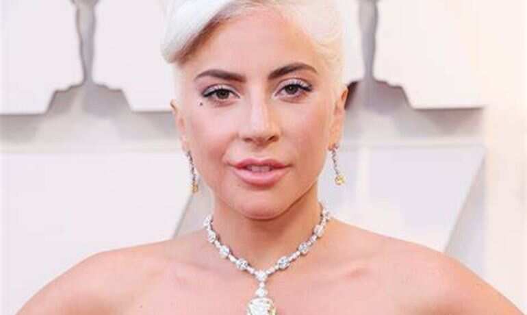 Lady Gaga's dogwalker shot in LA, suspect reportedly steals two of the singer's bulldogs 