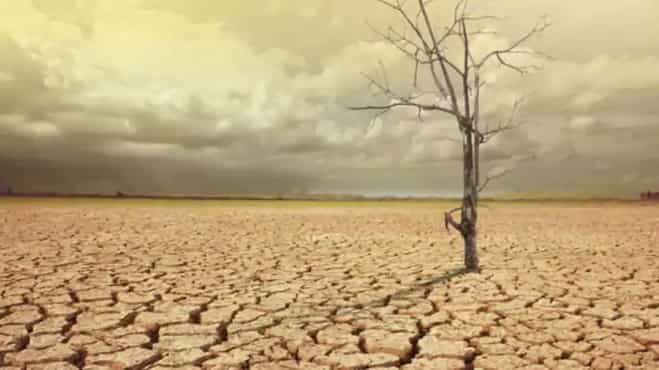 India and European Union delegates discuss climate crisis