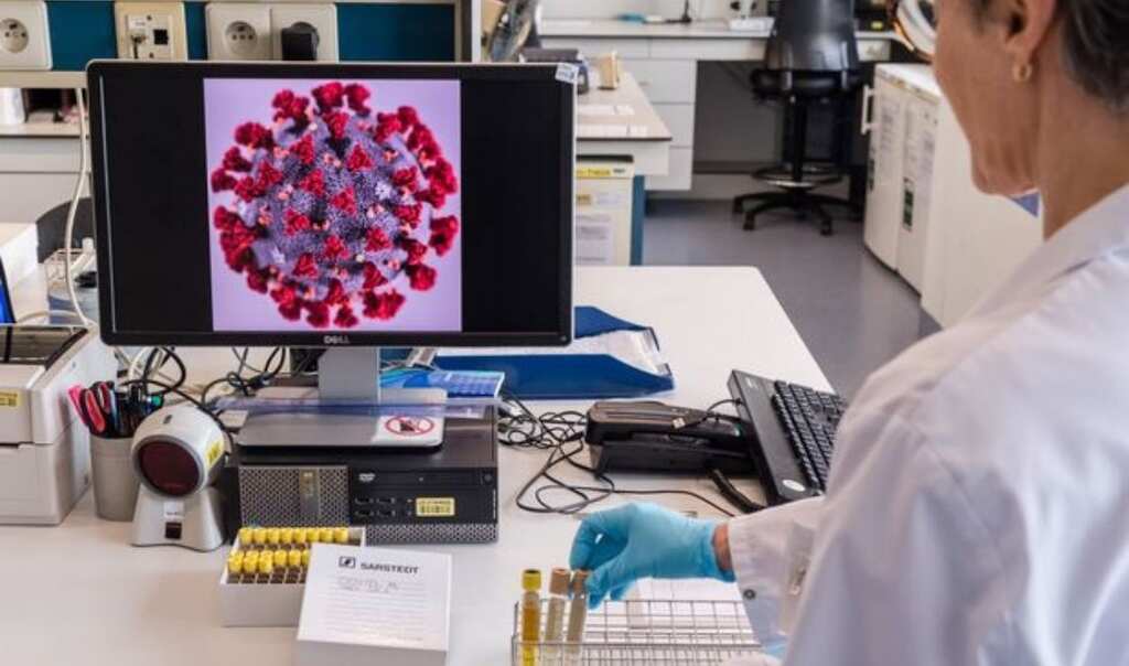 The coronavirus is mutating. What does that mean for us?