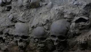 Researchers unveil ancient skull nicknamed as 'Dragon Man'
