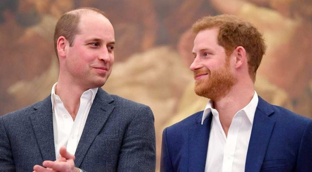 Relationship between brothers Prince William, Prince Harry improving post Megxit?