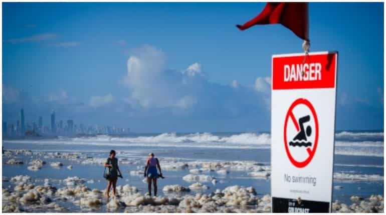 Snakes are lurking on Australia's foam-filled beaches now Snakes are lurking on Australia's foam-filled beaches now