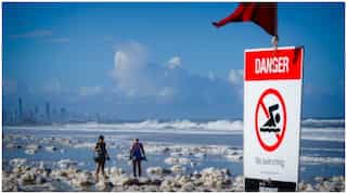 Snakes are lurking on Australia's foam-filled beaches now
