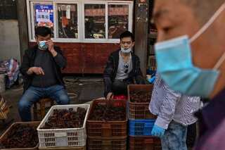 WHO's probe into origins of coronavirus in Wuhan not looking for 'guilty' parties