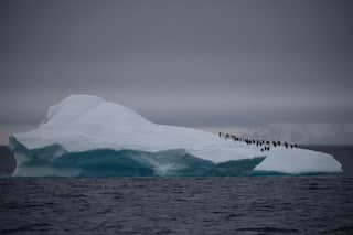 Capsule from 1765 containing air reveal facts about Antarctic ice