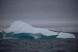 Antarctica rocked by 30,000 tremors in three months, researchers say