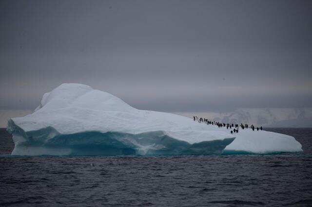 Capsule from 1765 containing air reveal facts about Antarctic ice