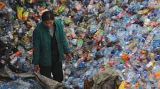 China's biodegradable plastics 'failing to tackle pollution crisis'