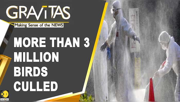 Gravitas: Japan's worst bird flu outbreak in history
