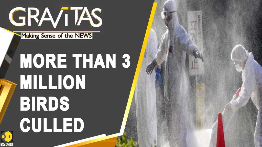 Gravitas: Japan's worst bird flu outbreak in history