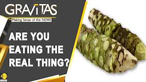 Gravitas: Are you consuming artificial Wasabi?