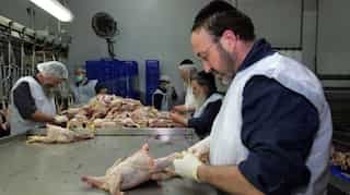 EU court rules authorities can ban kosher, halal slaughter to promote animal welfare