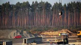 German court allows Tesla to partially clear forest for a new factory