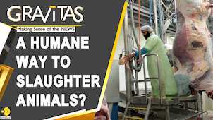 Gravitas: Slaughter practices around the world