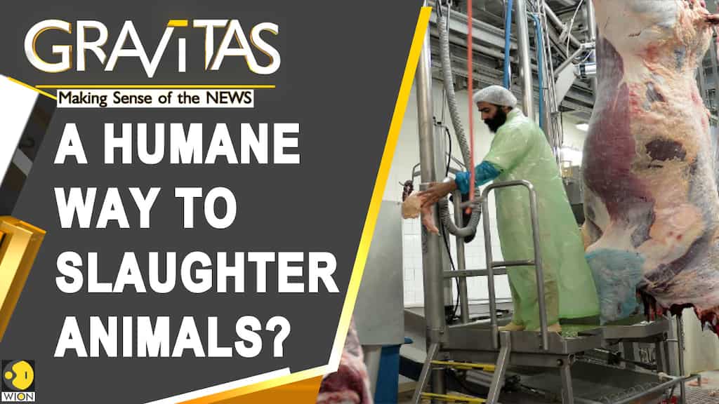 Gravitas: Slaughter practices around the world