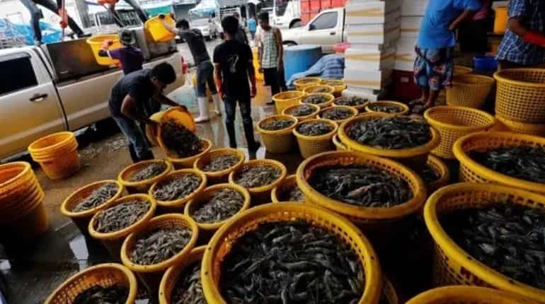 Thailand set to test 10,000 after biggest outbreak in seafood market Thailand set to test 10,000 after biggest outbreak in seafood market