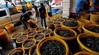 Thailand set to test 10,000 after biggest outbreak in seafood market