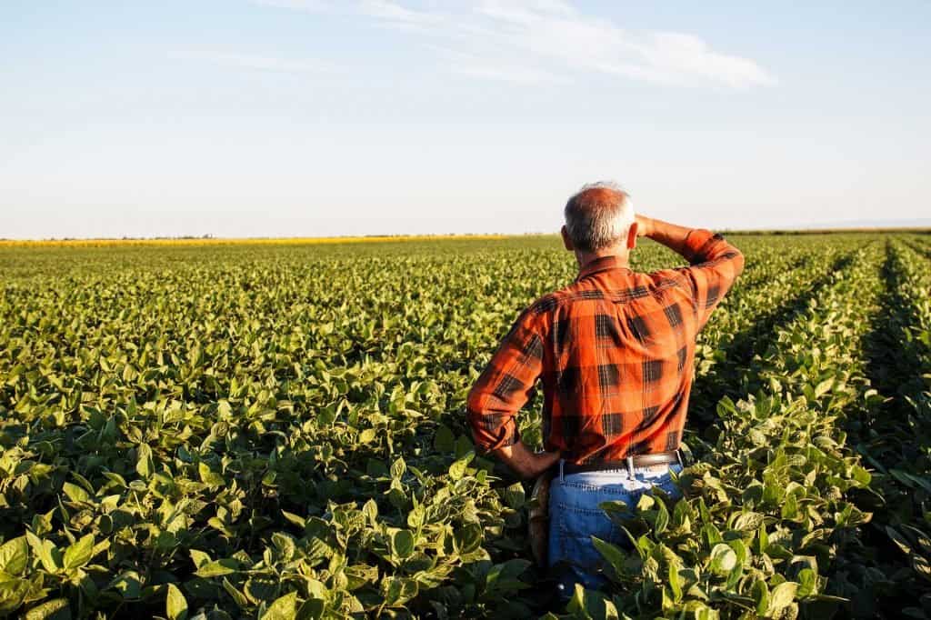 Covid - 19 casts shadow over agricultural growth in U.S