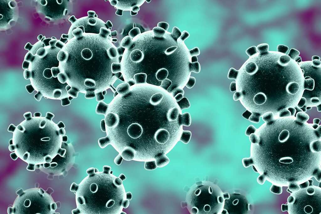 WION Fineprint: Some frequently asked question related to the mutation of a virus