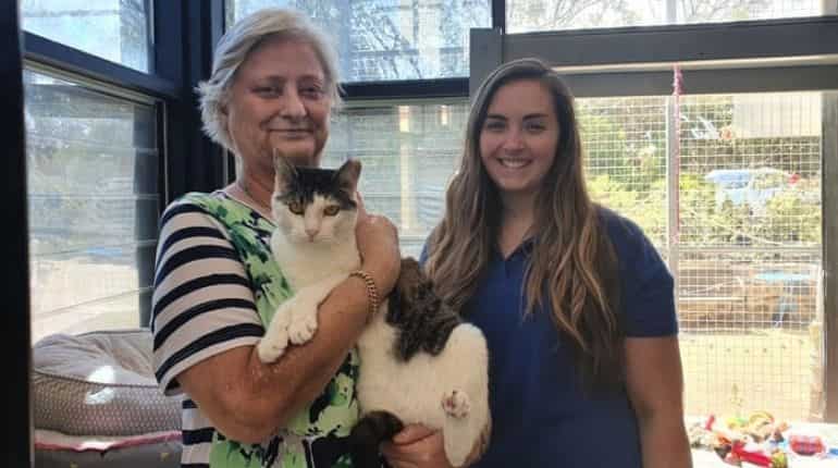 Australia’s grumpiest cat Chester labelled 'demonic' finds a new home Australia’s grumpiest cat Chester labelled 'demonic' finds a new home