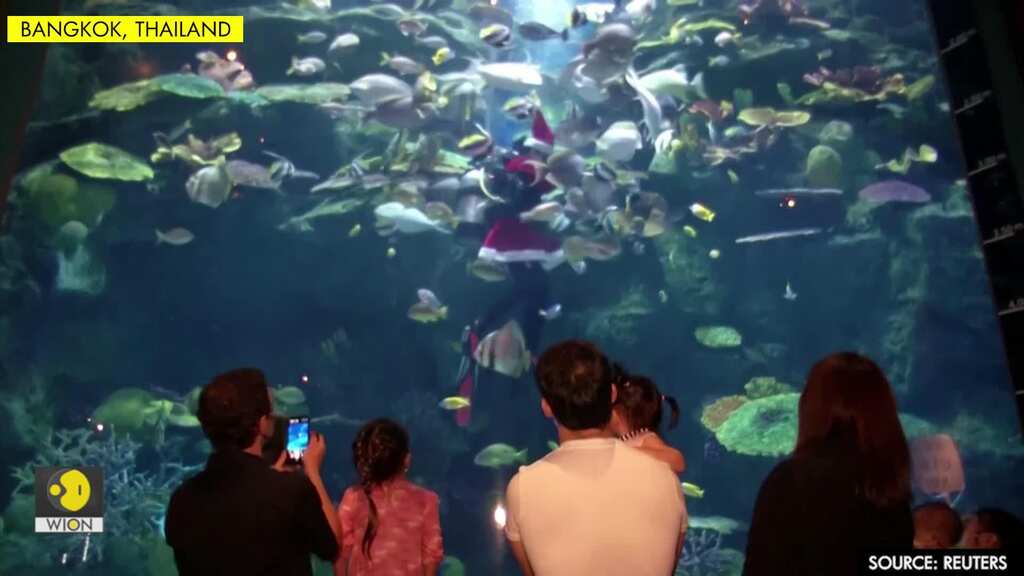 Diving Santa spreads Christmas joy at Bangkok aquarium