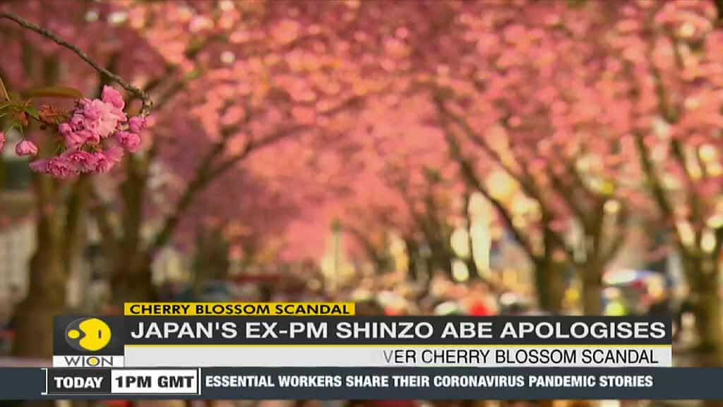 Japan's ex-PM Shinzo Abe apologises over cherry blossom scandal