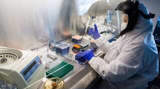 Scientists recently collected DNA from air. How did they do it?