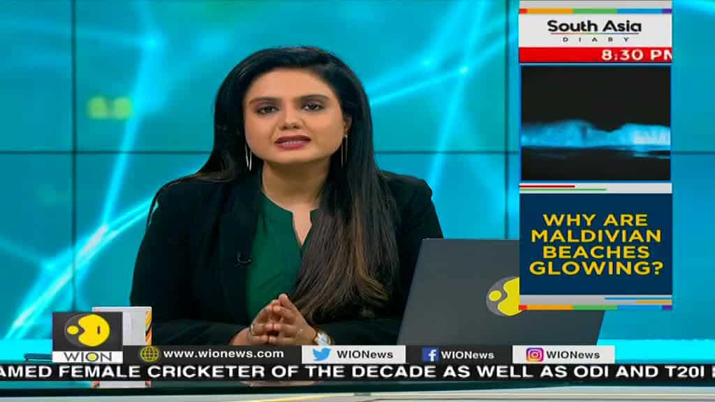 Cape Town: Cutting down trees to save water