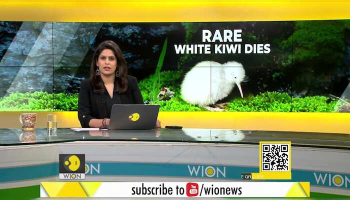 Gravitas: Death of a Kiwi leads to outpouring of grief in New Zealand