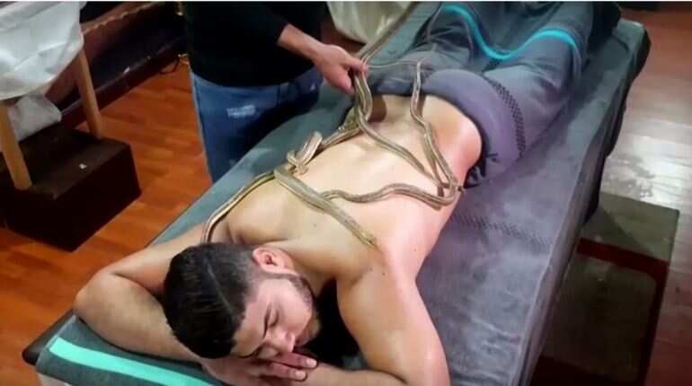 Want to try some adventure this New Year, snake massage in Egypt might be it