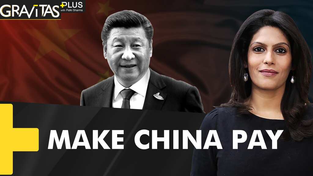 Gravitas Plus: Who will bear the cost of the Pandemic?