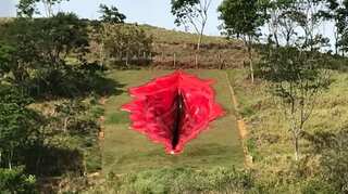 Artwork depicting vagina draws Bolsonaro's ire in Brazil