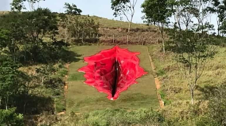 Artwork depicting vagina draws Bolsonaro's ire in Brazil