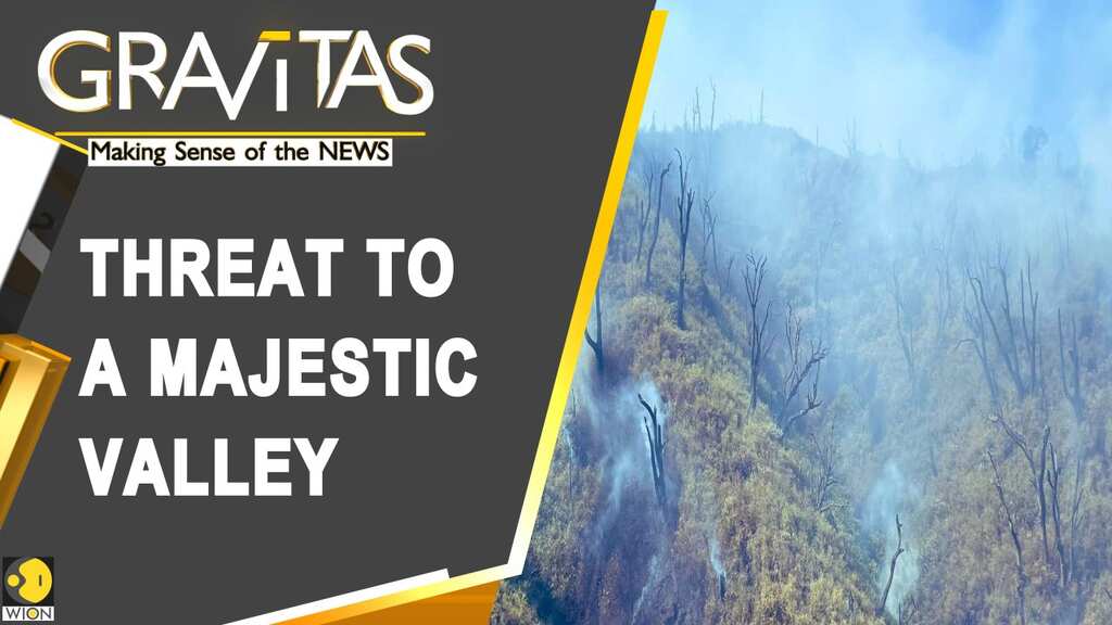 Gravitas: Fire in Nagaland's Dzukou valley