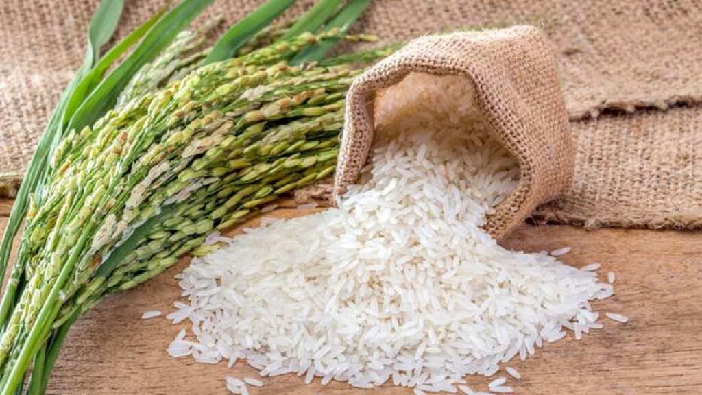 World Business Watch: Vietnam buys Indian rice for the first time in decades