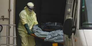 Guinea confirms first case of Marburg disease carried by bats