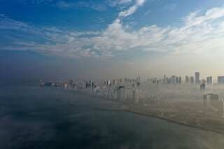 Warming driving Eastern Mediterranean species collapse: study
