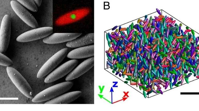 Scientists discover new state of matter: Liquid Glass