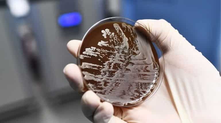 Scientists create living materials out of famous beverage ingredients