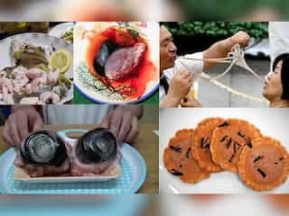From rotten shark to fried spider: Whackiest foods eaten around the world