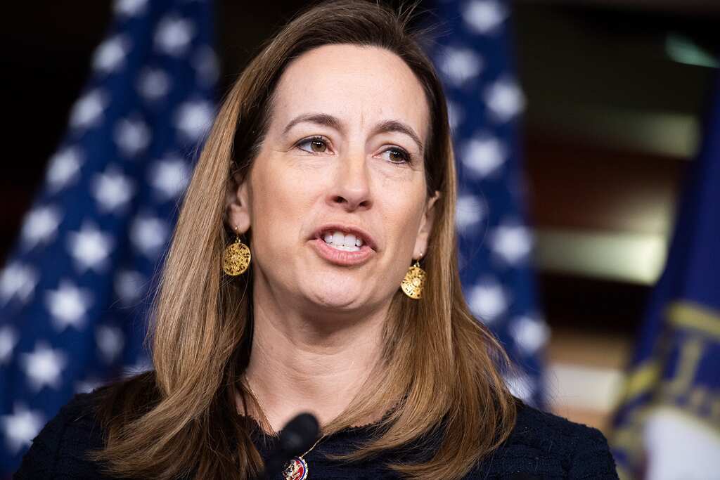 Startling claim by Democrat Mikie Sherrill, "Mob given 'recon' tours day before Capitol riots"