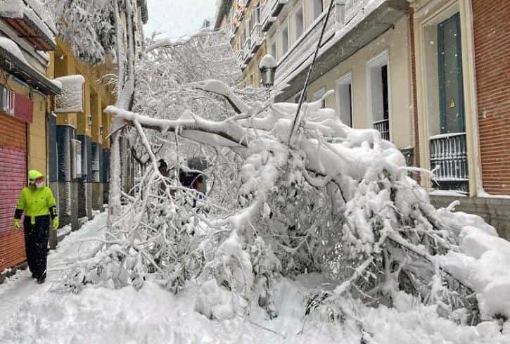Spain's heaviest snowfall since 1970's blankets Madrid