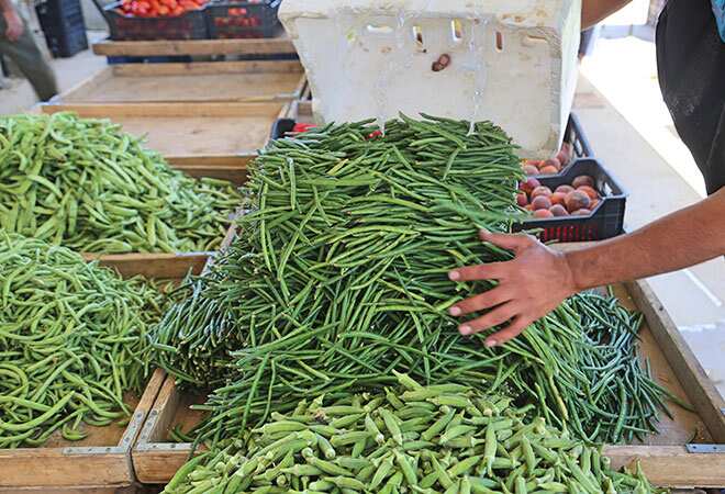 WION Dispatch: Community gardeners in Tasmania are tackling food insecurity amid COVID