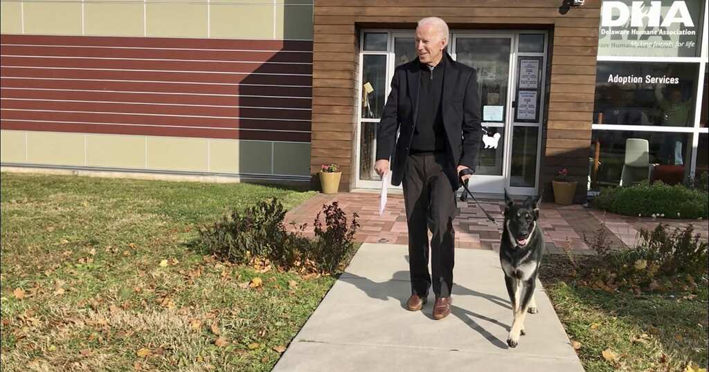 'It's time we put a pet back in the White House', says Joe Biden