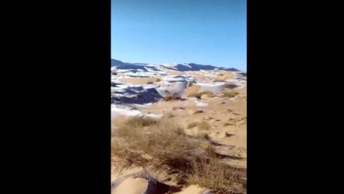 Shades of white in Algeria