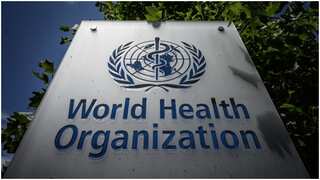 Morning news brief: US and UK question WHO, Germany halts AstraZeneca vaccine and more